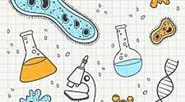 Timeline: IV PERIODO DE BIOLOGIA