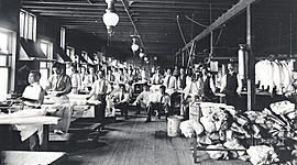 Timeline: Progressive Era