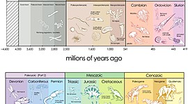 Timeline: Geokronoloogiline skaala Agne.K G2BK 2000/21