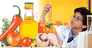 Primera Licenciatura en Nuestro País