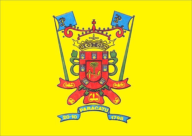 Fundação do Arraial de São Luiz e Sant’Ana das Minas de Paracatu