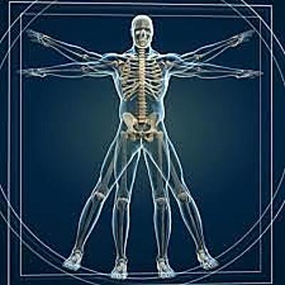 Timeline: Estado del arte de la antropología del deporte