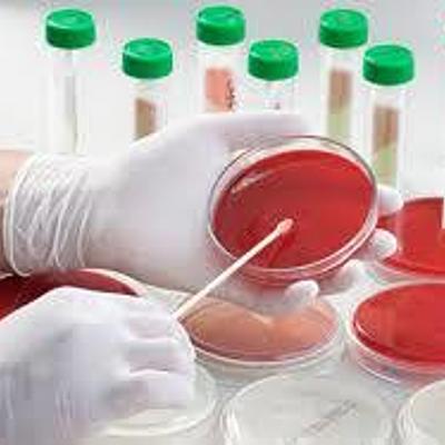 Timeline: Historia de los conceptos de causa y enfermedad: paralelismo entre la Medicina y la Fitopatología