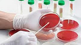 Timeline: Historia de los conceptos de causa y enfermedad: paralelismo entre la Medicina y la Fitopatología