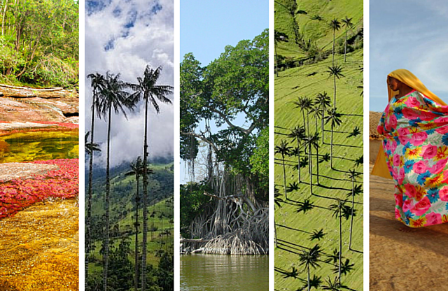 registro unico de ecosistemas