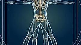 Timeline: Estado del arte de la antropología del deporte