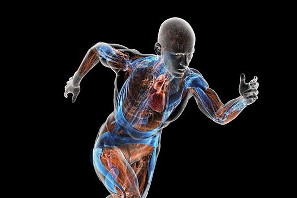 Primer Postgrado dirigido por Luis Cantarero