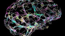 Timeline: Historia de la psicopatología