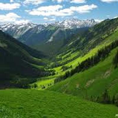 Timeline: Stephanie's Timeline