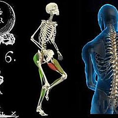 Timeline: Estado del arte de la antropología del deporte