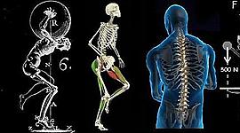 Timeline: Estado del arte de la antropología del deporte