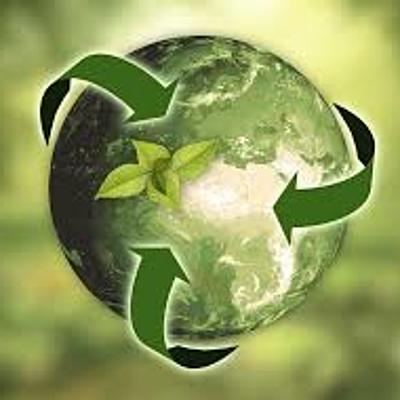 Timeline: Historia de la ecología.