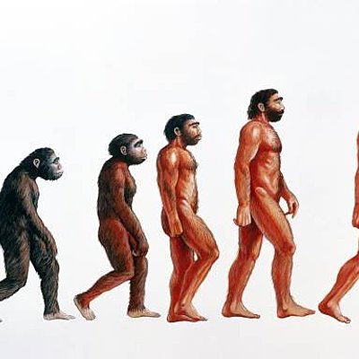 Timeline: ACTUALIDAD EN ANTROPOLOGÍA DEL DEPORTE:  INVESTIGACIÓN Y APLICACIÓN