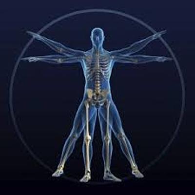 Timeline: Estado del arte de la antropología del deporte