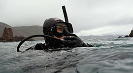 Timeline: Vida de Daniela