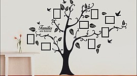Timeline: Línea del tiempo