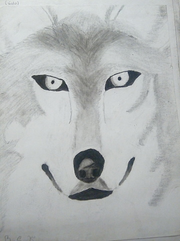 Descubrí una afición por el dibujo