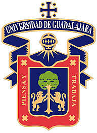 Integrantes del equipo