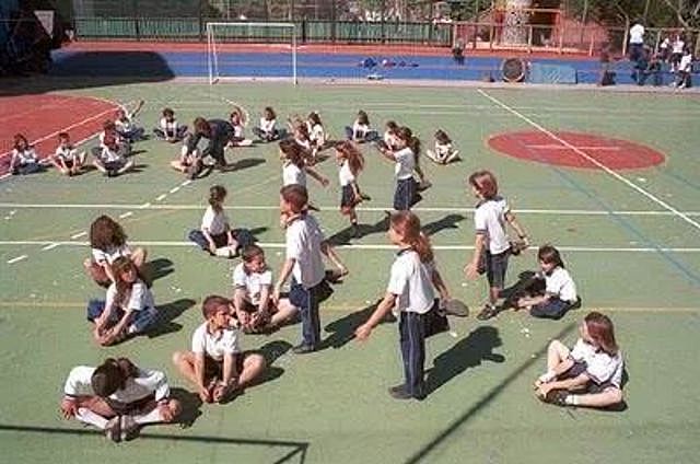Educación Física Enfoque Orgánico Funcional (1988)