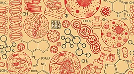 Timeline: CAZADORES DE MICROBIOS