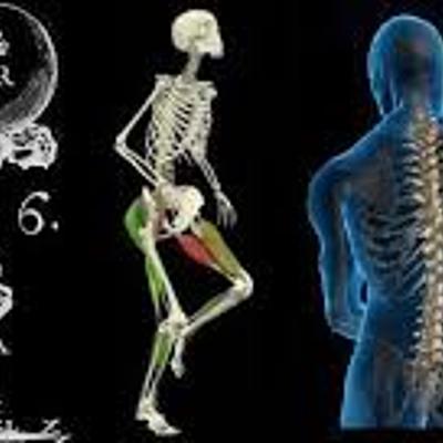 Timeline: antropología del deporte