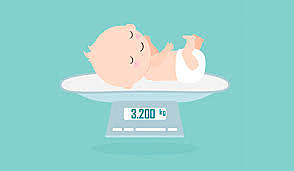 Nacimiento del primer Nieto