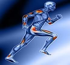 Deporte sociedad y cultura