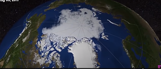 Antarctica in summer