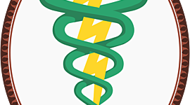 Timeline: HISTORIA DE LA FISIOTERAPIA