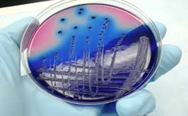 JULIOS RICHARD PETRI-PLAA DE PETRI