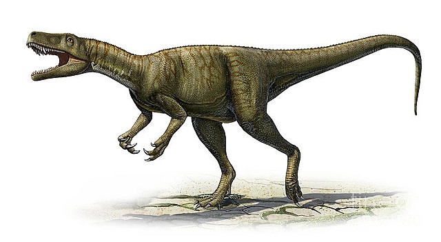 Dinosaurused