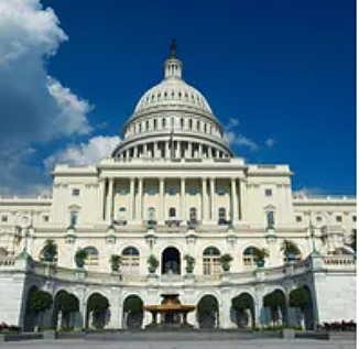 Sociedad de Orton en New York