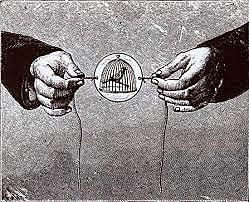 The Invention of Thaumatropes