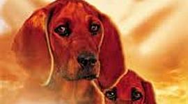 Timeline: Where the Red Fern Grows