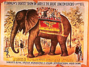 Circo de Joshuah Purdy Brown