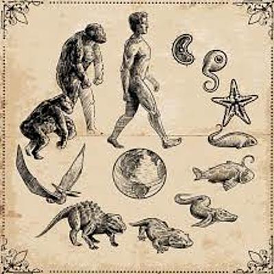 Timeline: Teorías del Origen de la Vida