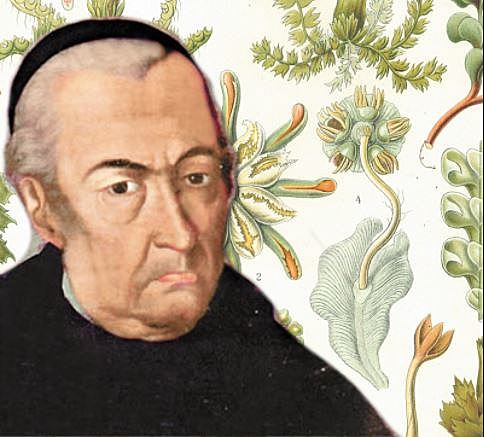 Expedición Botánica