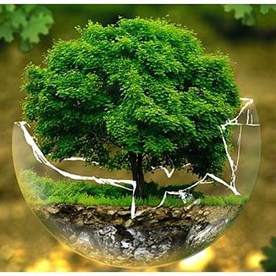 Timeline: intro to ecology