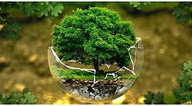 Timeline: intro to ecology