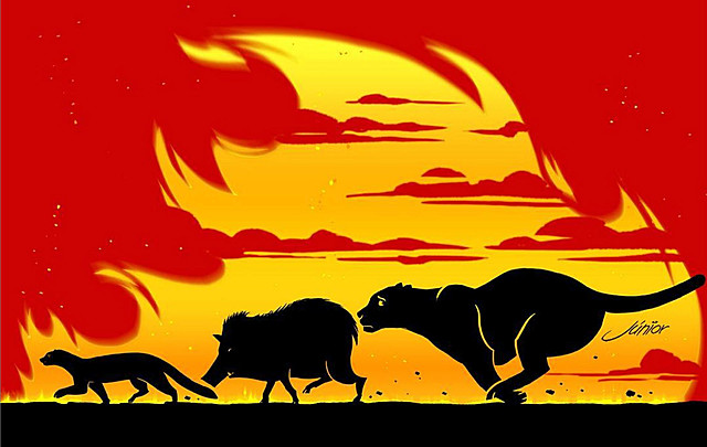 incendi Amazonas (climatic)