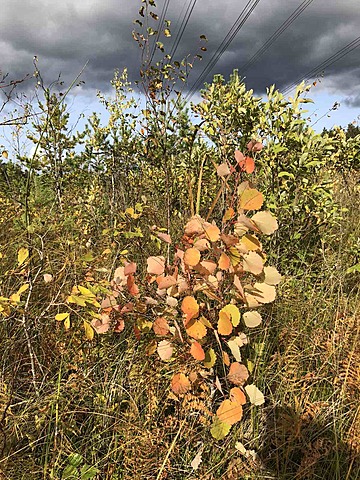 Läksin teise klassi