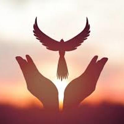 Timeline: Movimientos que contribuyeron a la paz