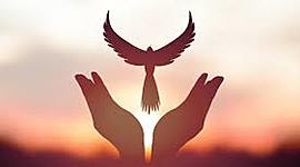 Timeline: Movimientos que contribuyeron a la paz