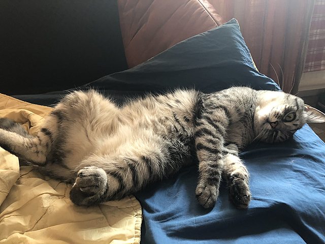 Läksin viiendasse klassi