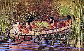 Medios de transporte de los Indigenas