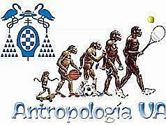 actualidad en la antropologia del deporte