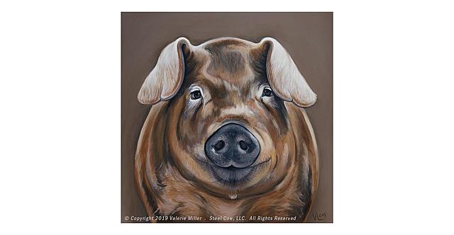 Fundación de América Durooc