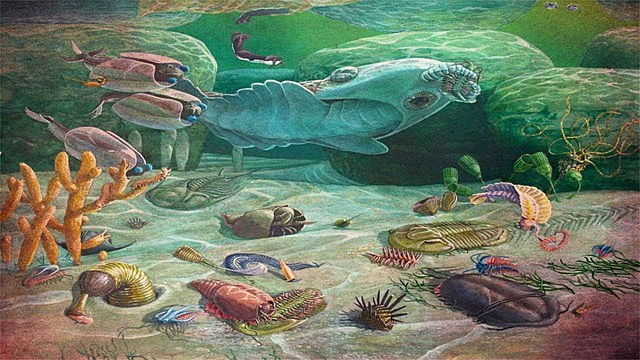 Proterosoikum ehk agueoon