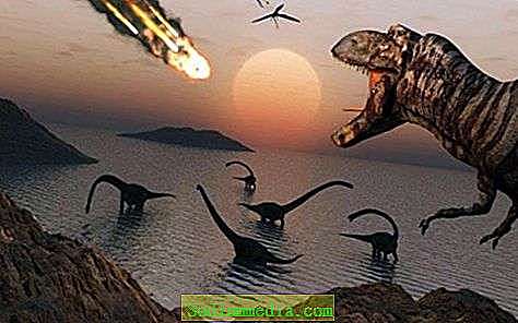 Dinosauruste väljasuremine