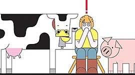 Timeline: Línea del tiempo de los orígenes de los estudios etológicos